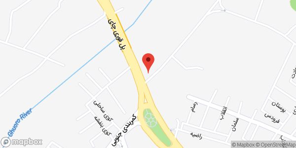 موقعیت نصب دزدگیر مهندس سلیمانی روی نقشه