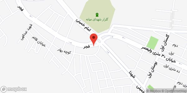 موقعیت شیر هیدرانت ۲-۲۹-۱ روی نقشه